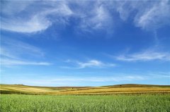 土壤墑情監測站在農業種植中的三大功效